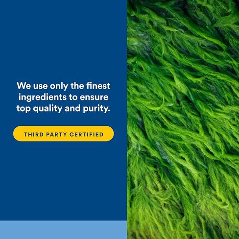 Natural Factors Whole Earth & Sea، Marine DHA أوميغا 3، 30 كبسولة هلامية نباتية in Saudi Arabia