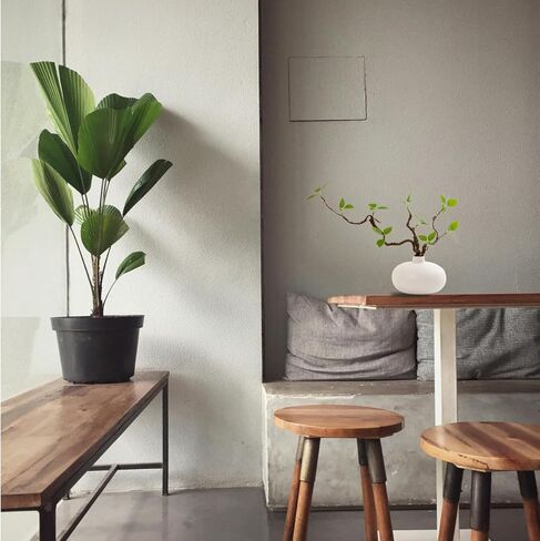 1pcs Fake Plants Greenery Stems Artificial Flower Stems Adjustable in Any Shape Artificial Plants Indoor Vase Filler Branches for Vase Home Decorations Thanksgiving Decorations in Saudi Arabia