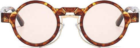 Small Round Sunglasses Retro Punk Gradient Shades UV400 Women Men Fashion Hippie Sun Glasses in Saudi Arabia