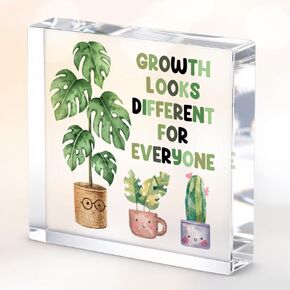 Inspirational Gifts for Women Men Friends, Motivational Desk Decor Acrylic Sign 4X4 Inch, Pastel Purple Star Desk Decorative Signs for Table Top Cubicle Room Office in Kuwait