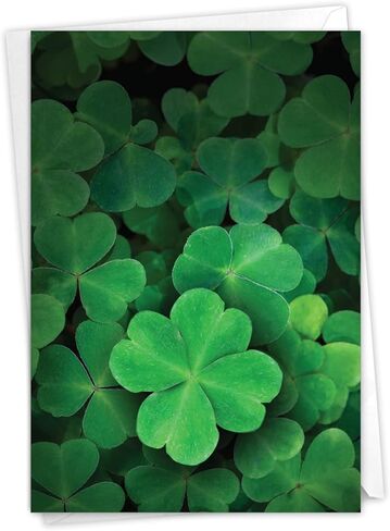 NobleWorks - 1 Funny Card for St Patrick's Day - Saint Pattys Irish Humor, Fun Greeting with Envelope - Are We Irish C6761SPG in Saudi Arabia