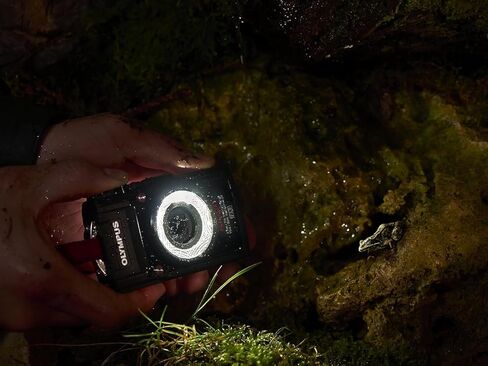 OLYMPUS LED Light Guide LG-1 in Kuwait