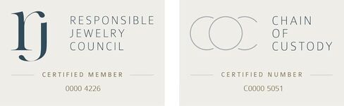 Oval Wave Earrings with White Crystals in Kuwait