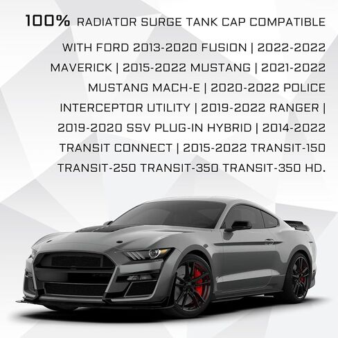 DG93-8101-AA Radiator Coolant Reservoir Cap for Ford Focus Mustang Fusion Escape F150 F250 F350 F450 F550 F600 Fiesta Bronco Edge Ranger Expedition Explorer Transit Lincoln Aviator MKZ MKC MKX in Kuwait