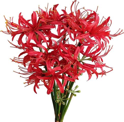 6 Sets 67 CM Lycoris Radiata Artificial Spider Lily Flowers Stonegarlic Clusteramaryllis for Home Garden Wedding Party Decor (Red) in Kuwait