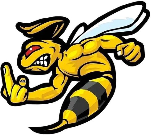 2 قطعة شارات الفينيل النحلة الغاضبة ملصقات مقاومة للماء لأجهزة الكمبيوتر المحمول سيارة شاحنة الوفير دراجة نارية جدار ديكور A-83 in Kuwait