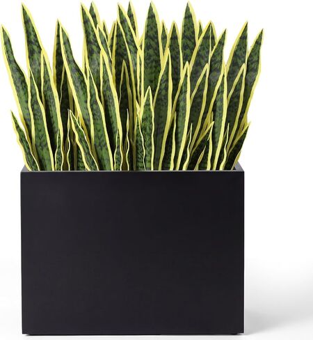 Tigeen Faux Snake Plant 30 بوصة نبات الأفعى الاصطناعي طويل القامة نبات الصبار الاصطناعي سانسيفيريا وهمية للخارجية والداخلية والمنزل والمكتب العصارة وديكور متجر الخضرة (أصفر، 16 قطعة) in Kuwait