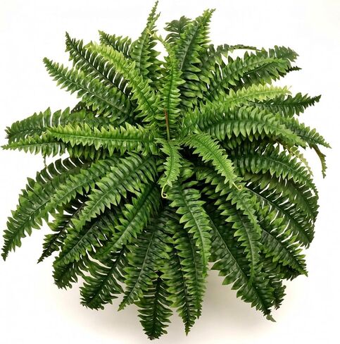 Larksilk وهمية في الهواء الطلق بوسطن السرخس، شجيرة السرخس الاصطناعي، مقاومة للأشعة فوق البنفسجية، 49 سعفة، كبيرة، ديكور المنزل صديق للحيوانات الأليفة in Kuwait