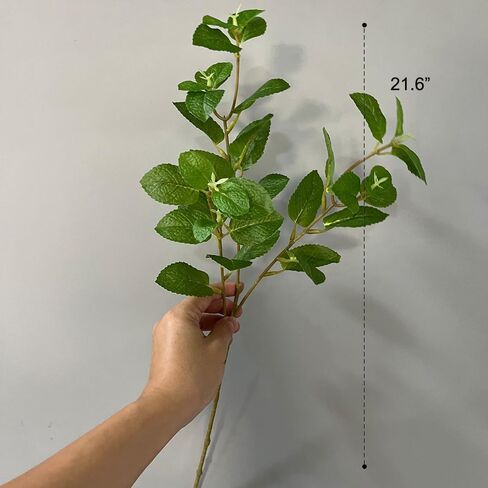 3 قطع من أوراق النعناع الصناعية الجذعية 21.6 بوصة أوراق خضراء وهمية فرع الخضرة الصناعية لترتيب المزهرية ديكور طاولة المطبخ والمنزل in Kuwait