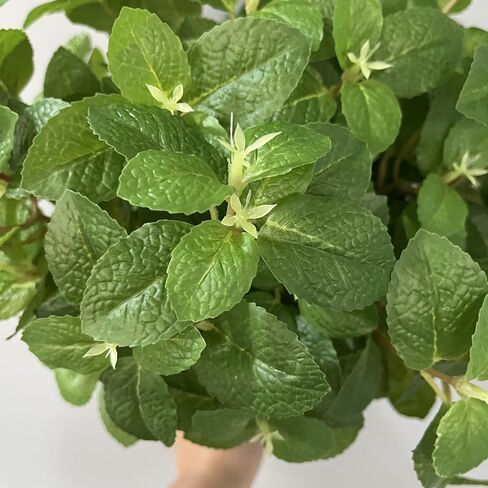 3 قطع من أوراق النعناع الصناعية الجذعية 21.6 بوصة أوراق خضراء وهمية فرع الخضرة الصناعية لترتيب المزهرية ديكور طاولة المطبخ والمنزل in Kuwait