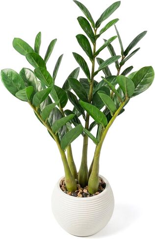 TentoWhan（2Packs Faux Plants Indoor 17" Artificial ZZ Plants in White Pot Fake Potted Zamioculcas Silk Plants for Home Table Decor Bedroom Aesthetic in Saudi Arabia