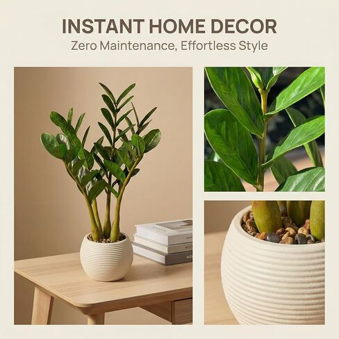 TentoWhan（2Packs Faux Plants Indoor 17" Artificial ZZ Plants in White Pot Fake Potted Zamioculcas Silk Plants for Home Table Decor Bedroom Aesthetic in Saudi Arabia
