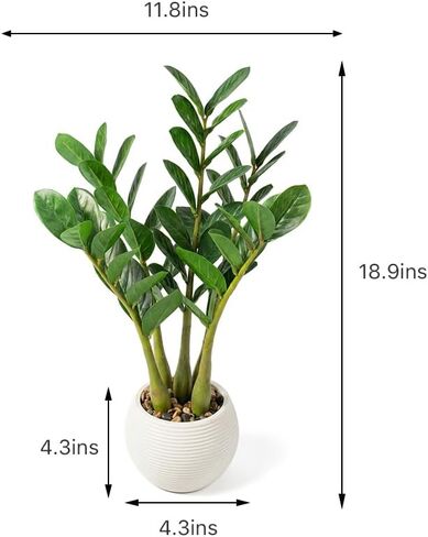 TentoWhan（2Packs Faux Plants Indoor 17" Artificial ZZ Plants in White Pot Fake Potted Zamioculcas Silk Plants for Home Table Decor Bedroom Aesthetic in Saudi Arabia
