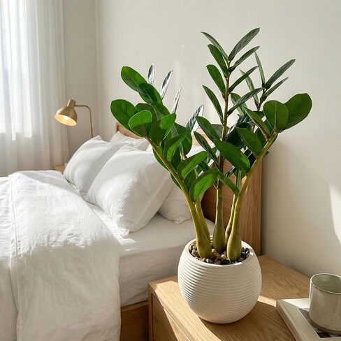TentoWhan（2Packs Faux Plants Indoor 17" Artificial ZZ Plants in White Pot Fake Potted Zamioculcas Silk Plants for Home Table Decor Bedroom Aesthetic in Saudi Arabia