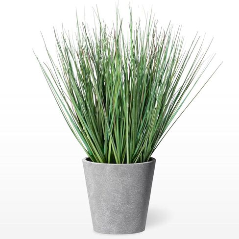 Torre & Tagus 18" Artificial Onion Grass in Dark Gray Rectangle Pot, Faux Grass Plant & Tall Foliage Fake Grass Decor as Artificial Grass for Planters, 10" x 7" x 18" (Onion Grass Fake Plant) in Saudi Arabia