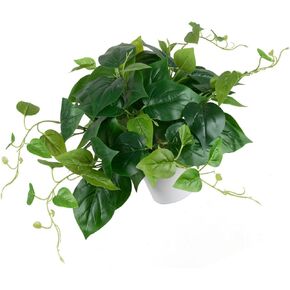 نبات البوثوس الاصطناعي مع وعاء بلاستيكي - نبات صناعي داخلي مزيف لديكور المنزل والمكتب، عبوة واحدة in Kuwait