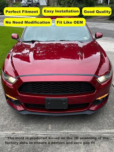 FASTCHE Front Bumper License Tag Plate Frame Bracket Holder Compatible with 2015 2016 2017 Ford Mustang Replace # FR3Z17A385AA FO1068154 in Kuwait