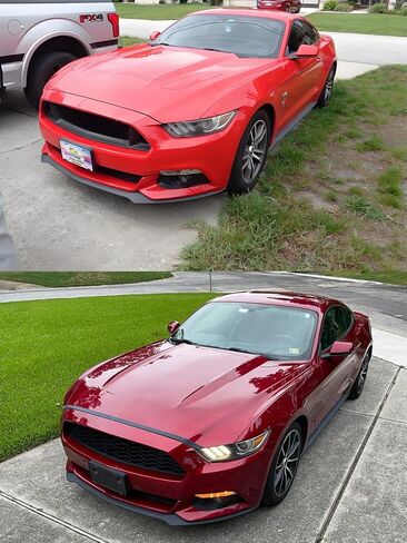 FASTCHE Front Bumper License Tag Plate Frame Bracket Holder Compatible with 2015 2016 2017 Ford Mustang Replace # FR3Z17A385AA FO1068154 in Kuwait