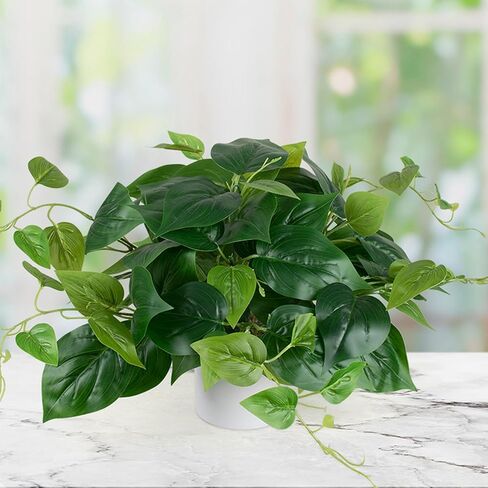 نبات البوثوس الاصطناعي مع وعاء بلاستيكي - نبات صناعي داخلي مزيف لديكور المنزل والمكتب، عبوة واحدة in Kuwait