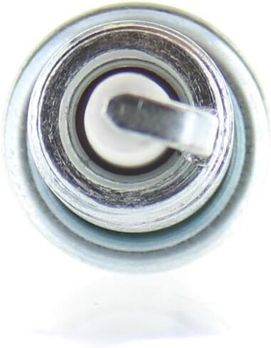 Johnson Evinrude OMC OEM Champion Spark Plug QC8WEP 9809, 5007597 in Kuwait