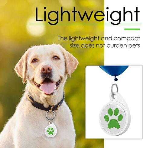 QR Code Dog Tag, Smart ID Tags, Dog Tags Personalized Lightweight Silent ID Tag for Kids Pets Bags Keys, Pack of 5 in Saudi Arabia