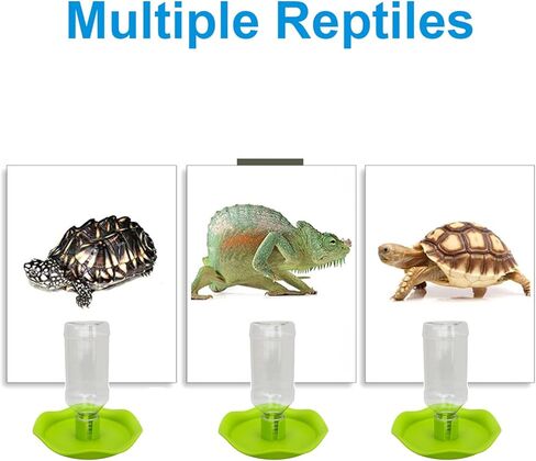 موزع مياه الزواحف سقي الزواحف التلقائي إعادة تعبئة موزع المياه تغذية وعاء الماء مع زجاجة خضراء لسحلية السلحفاة in Kuwait