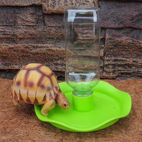 موزع مياه الزواحف سقي الزواحف التلقائي إعادة تعبئة موزع المياه تغذية وعاء الماء مع زجاجة خضراء لسحلية السلحفاة in Kuwait