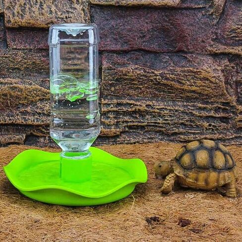 موزع مياه الزواحف سقي الزواحف التلقائي إعادة تعبئة موزع المياه تغذية وعاء الماء مع زجاجة خضراء لسحلية السلحفاة in Kuwait