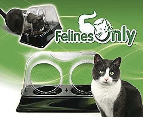the Purrrfect Cat Dish - Veterinarian Designed Cat Feeding Bowl that Keeps Dogs Out of the Cat Food in Saudi Arabia