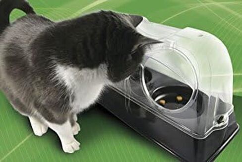 the Purrrfect Cat Dish - Veterinarian Designed Cat Feeding Bowl that Keeps Dogs Out of the Cat Food in Saudi Arabia