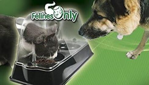 the Purrrfect Cat Dish - Veterinarian Designed Cat Feeding Bowl that Keeps Dogs Out of the Cat Food in Saudi Arabia