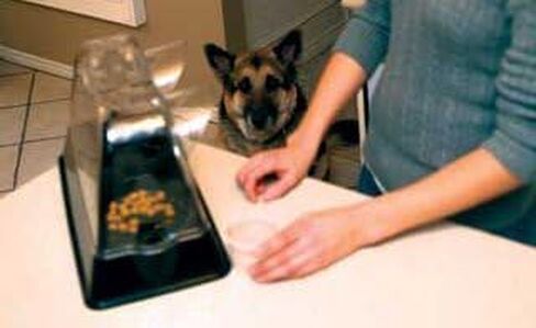 the Purrrfect Cat Dish - Veterinarian Designed Cat Feeding Bowl that Keeps Dogs Out of the Cat Food in Saudi Arabia