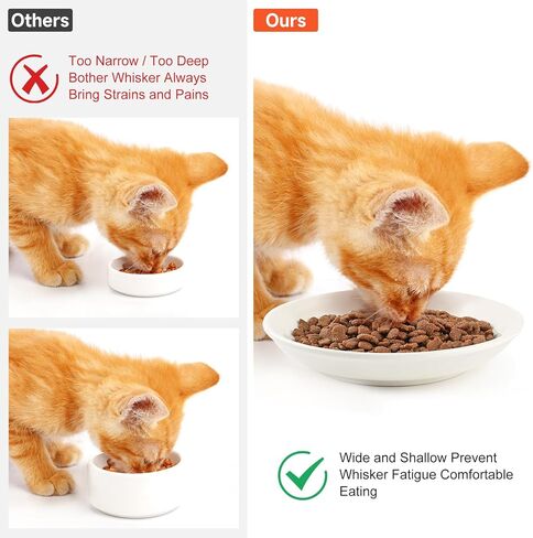 YauYik Cat Food Bowls - Whisker Friendly Ceramic Cat Bowls with Nonslip Silicone Mats - Shallow Wide Quiet Cat Dishes and Plates for Feeding Indoor Cats Kittens and Small Dogs, 4 Pack in Kuwait