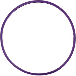 31# for JP selecta 17L18L 20L-23L Autoclave door gasket replacement seal Chamber seal accessories tools parts in Kuwait