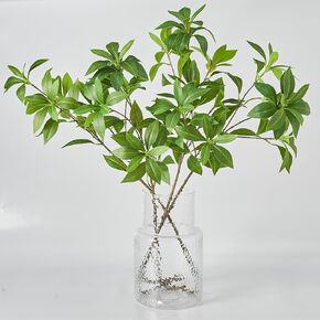 فرع أوراق جابونيكا الاصطناعية ذات اللمس الحقيقي، سيقان خضراء صناعية للمنزل والمكتب ومزهرية الزفاف وتزيين متجر (4، أخضر متوسط) in Kuwait