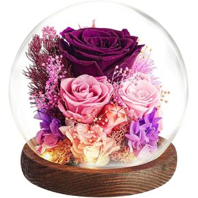 EXXccds Preserved Purple Roses Flowers Gifts for Her - Birthday Gifts for Women, Girlfriend, Wife, Daughter, Mom, Grandma, Wedding Gifts - Office Desk Decor, Living Room Decor, Home Decor (Purple) in Saudi Arabia