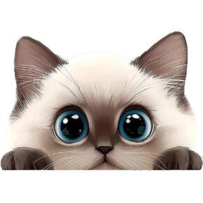 2 قطعة ملصق سيارة مضحك على شكل قطة رمادية لطيفة، ملصق من الفينيل مقاس 5 بوصات، مقاوم للماء، مقطوع بالقالب للسيارات والنوافذ وأجهزة الكمبيوتر المحمولة M-03 in Kuwait