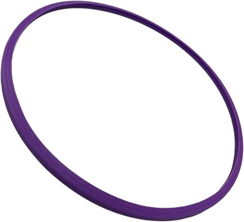 31# for JP selecta 17L18L 20L-23L Autoclave door gasket replacement seal Chamber seal accessories tools parts in Kuwait