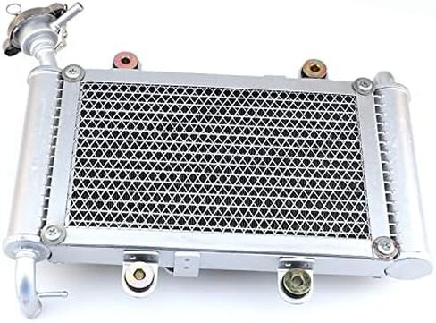 Radiator Cooler Cooler for 200cc 200cc 200cc 250cc BS200 BS200S-7 Bicycle distintivo in Saudi Arabia
