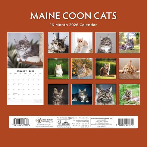 Red Robin 2026 Maine Coon Cats Monthly Wall Calendar | 12" x 24" Open | Premium Thick & Sturdy Paper | Hangable 12 Month Calendar | Lined Notes & To Do Area | Vivid Images | Plastic Free in Saudi Arabia