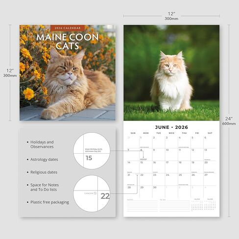 Red Robin 2026 Maine Coon Cats Monthly Wall Calendar | 12" x 24" Open | Premium Thick & Sturdy Paper | Hangable 12 Month Calendar | Lined Notes & To Do Area | Vivid Images | Plastic Free in Saudi Arabia