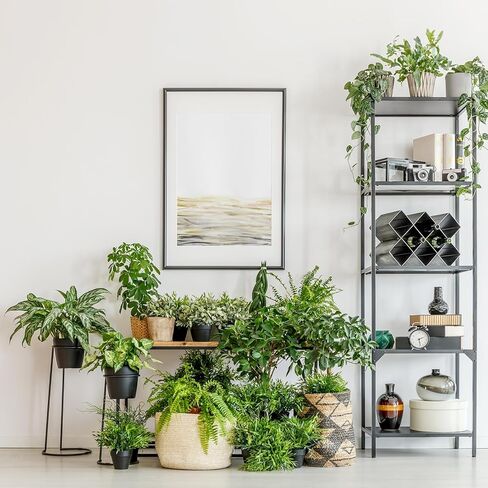 8 Pack Fake Fern - Artificial Fern Plants Greenery Fake Plants Shrubs Plastic Plant for Garden Porch Window Box Hanging Planter Decorating (Green) in Kuwait