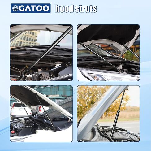 Front Hood Lift Supports Shock Strut Props Compatible with Honda Accord Crosstour Honda Crosstour 2010 2011 2012 2013 2014 2015, Replace 6769 PM3265(2 Pcs Set) in Saudi Arabia