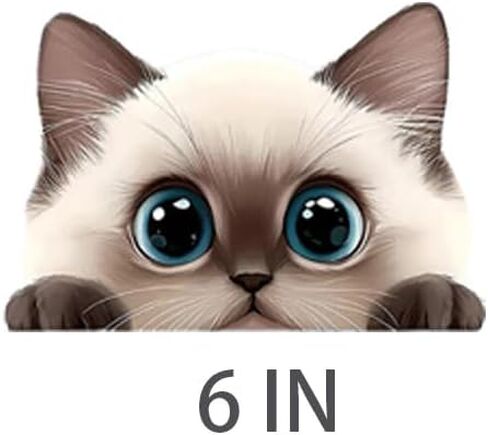 2 قطعة ملصق سيارة مضحك على شكل قطة رمادية لطيفة، ملصق من الفينيل مقاس 5 بوصات، مقاوم للماء، مقطوع بالقالب للسيارات والنوافذ وأجهزة الكمبيوتر المحمولة M-03 in Kuwait