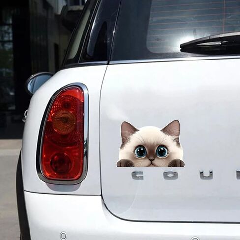 2 قطعة ملصق سيارة مضحك على شكل قطة رمادية لطيفة، ملصق من الفينيل مقاس 5 بوصات، مقاوم للماء، مقطوع بالقالب للسيارات والنوافذ وأجهزة الكمبيوتر المحمولة M-03 in Kuwait