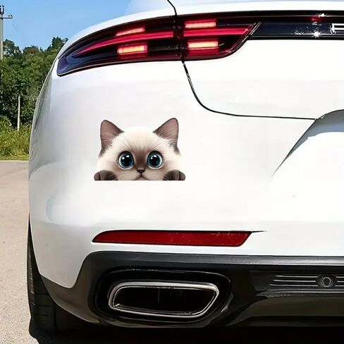 2 قطعة ملصق سيارة مضحك على شكل قطة رمادية لطيفة، ملصق من الفينيل مقاس 5 بوصات، مقاوم للماء، مقطوع بالقالب للسيارات والنوافذ وأجهزة الكمبيوتر المحمولة M-03 in Kuwait