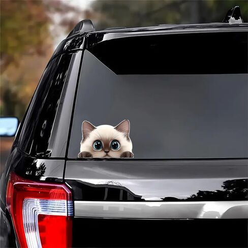 2 قطعة ملصق سيارة مضحك على شكل قطة رمادية لطيفة، ملصق من الفينيل مقاس 5 بوصات، مقاوم للماء، مقطوع بالقالب للسيارات والنوافذ وأجهزة الكمبيوتر المحمولة M-03 in Kuwait