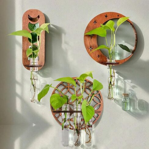 Wall-Mounted Test Tube Vase with Geometric Backplate - 1 Tube Plant Propagator for Pothos Plants | Modern Water Propagation Station for Home Decor​ in Saudi Arabia