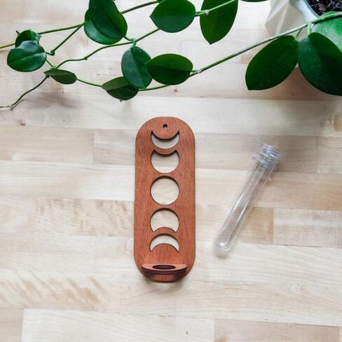 Wall-Mounted Test Tube Vase with Geometric Backplate - 1 Tube Plant Propagator for Pothos Plants | Modern Water Propagation Station for Home Decor​ in Saudi Arabia