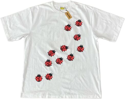 Whimsy Twee Clothes for Women Oversize Graphic Ladybug Tee Y2k Fashion Whimsical Clothes Streetwear in Kuwait